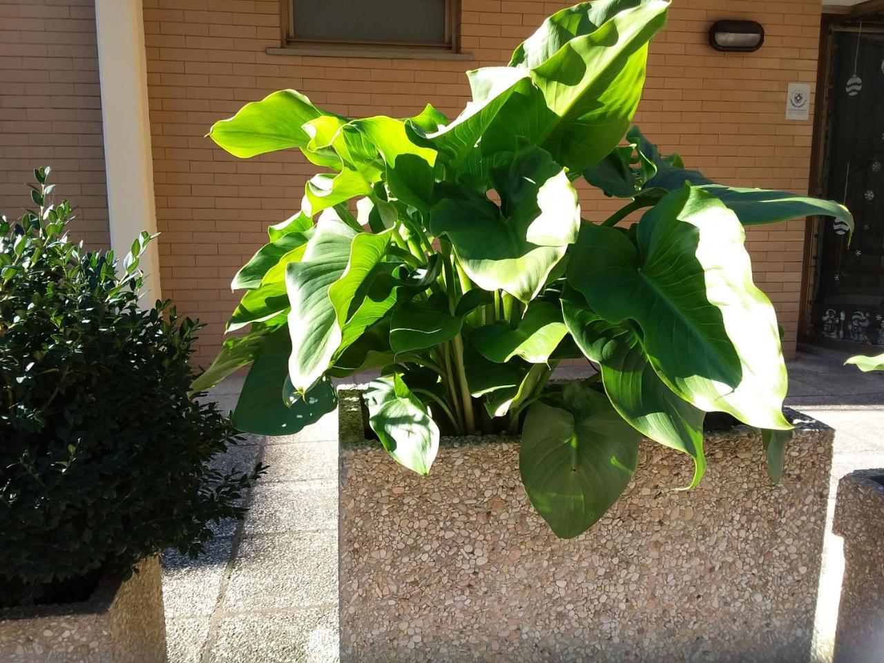 Albergo Nyers Perugia Kültér fotó